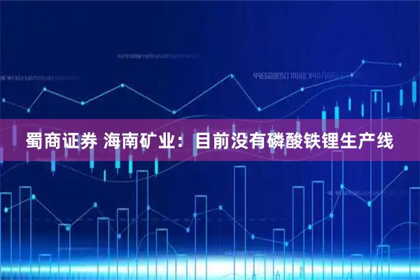 蜀商证券 海南矿业：目前没有磷酸铁锂生产线